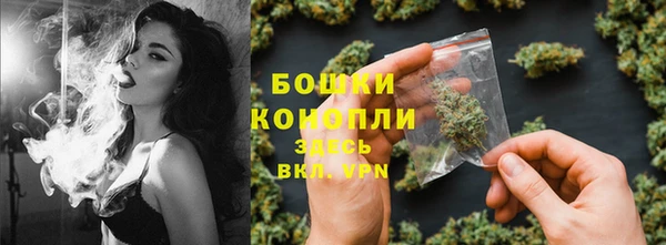 индика Балабаново
