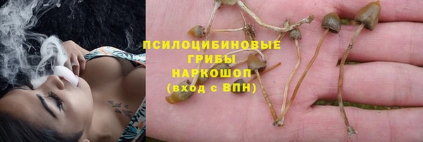 mix Елабуга