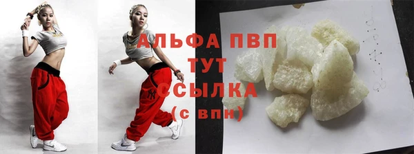 индика Балабаново