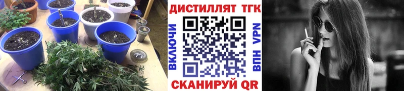 Дистиллят ТГК жижа  сайты даркнета какой сайт  Пятигорск  как найти закладки 