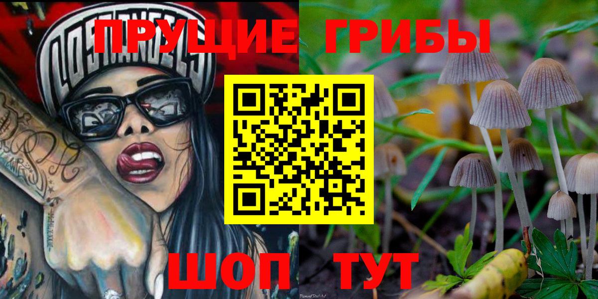 Псилоцибиновые грибы мухоморы Пятигорск