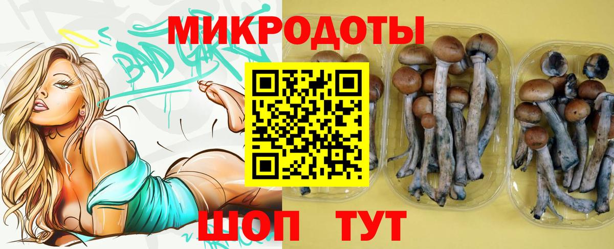 Галлюциногенные грибы Magic Shrooms  Псилоцибиновые грибы ЛСД  Вход с VPN  Пятигорск 